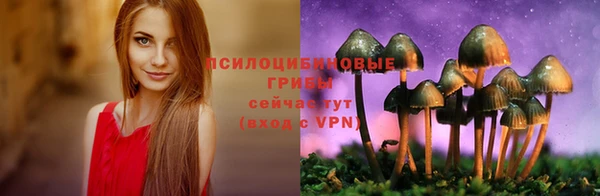 ALPHA PVP Покачи