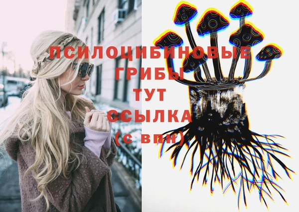 прущий лед Переславль-Залесский