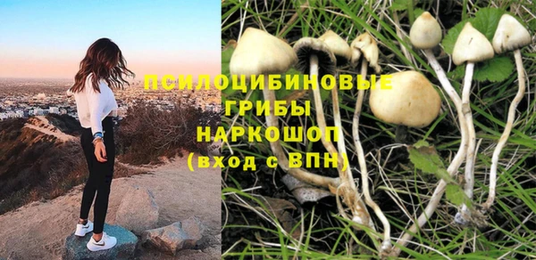 прущий лед Переславль-Залесский