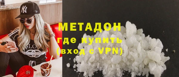 гидра Ессентукская