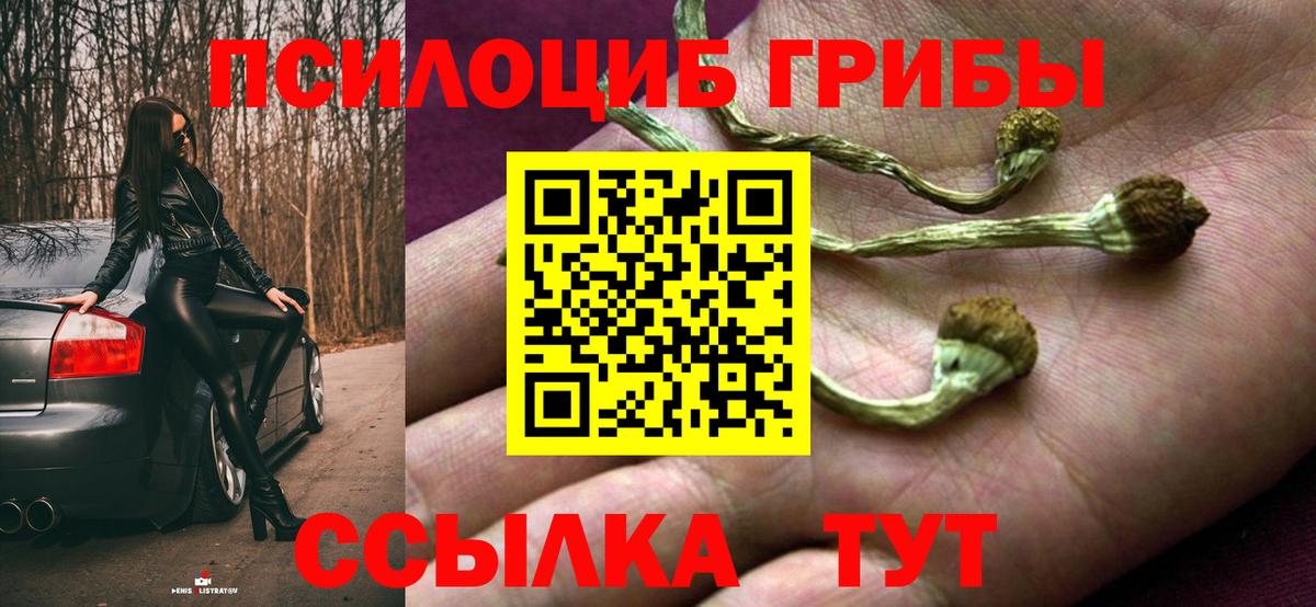 Псилоцибиновые грибы ЛСД  Вход с VPN  Скопин 