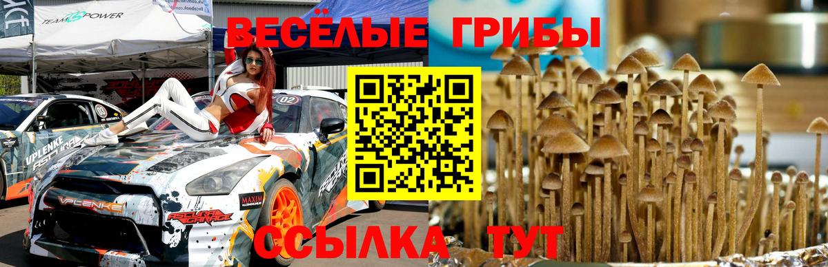 COCAIN  Гашиш  ГЕРОИН  МДМА  Мефедрон   Купить наркоту  Марихуана  ЭКСТАЗИ  Кодеин  Скопин  Вход с VPN  Гашиш 